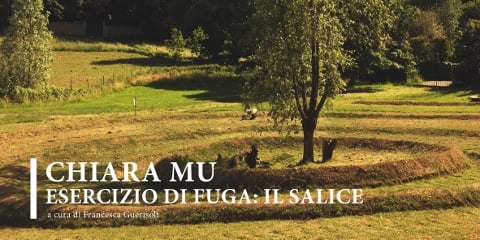 Chiara Mu – Esercizio di Fuga: il Salice